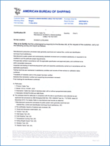 ABS美國船級社檢驗(yàn)證書2