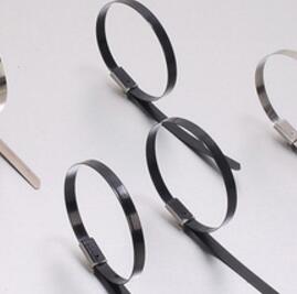 自鎖式不銹鋼扎帶的價(jià)格大概是多少？