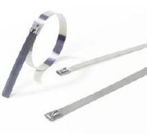 本色不銹鋼扎帶的分類(lèi)